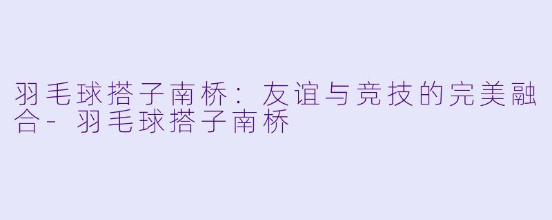 羽毛球搭子南桥：友谊与竞技的完美融合-羽毛球搭子南桥