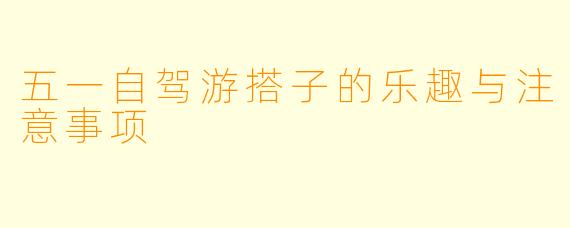 五一自驾游搭子的乐趣与注意事项