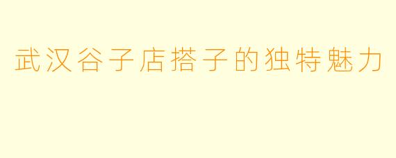 武汉谷子店搭子的独特魅力