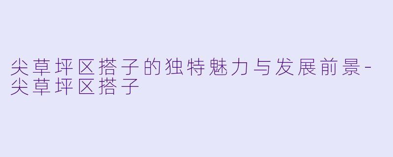 尖草坪区搭子的独特魅力与发展前景