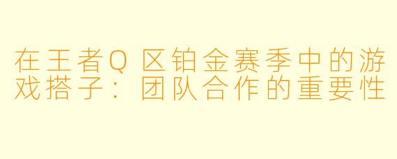 在王者Q区铂金赛季中的游戏搭子：团队合作的重要性