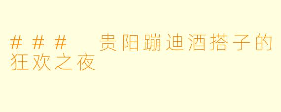 ### 贵阳蹦迪酒搭子的狂欢之夜