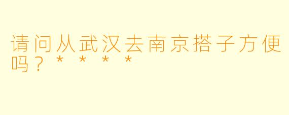 请问从武汉去南京搭子方便吗？****