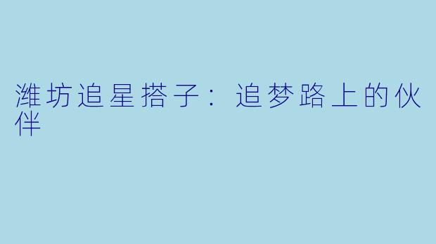 潍坊追星搭子：追梦路上的伙伴