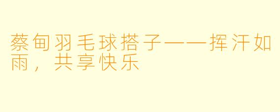 蔡甸羽毛球搭子——挥汗如雨，共享快乐