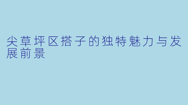 尖草坪区搭子的独特魅力与发展前景