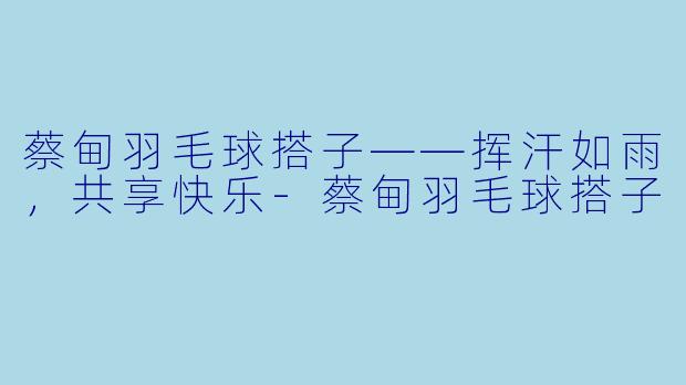 蔡甸羽毛球搭子——挥汗如雨，共享快乐-蔡甸羽毛球搭子