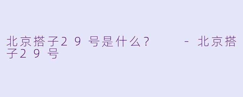 北京搭子29号是什么？  -北京搭子29号