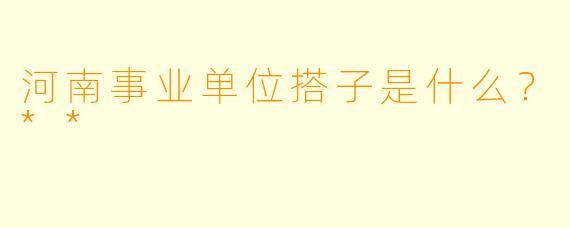 河南事业单位搭子是什么？**