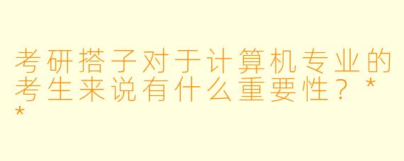 考研搭子对于计算机专业的考生来说有什么重要性?**