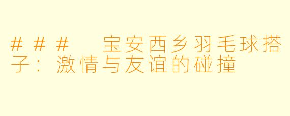 ### 宝安西乡羽毛球搭子：激情与友谊的碰撞
