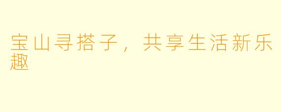 宝山寻搭子，共享生活新乐趣