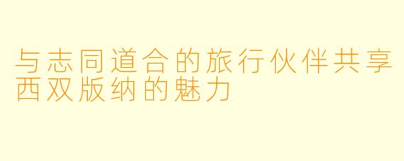与志同道合的旅行伙伴共享西双版纳的魅力