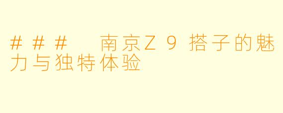 ### 南京Z9搭子的魅力与独特体验