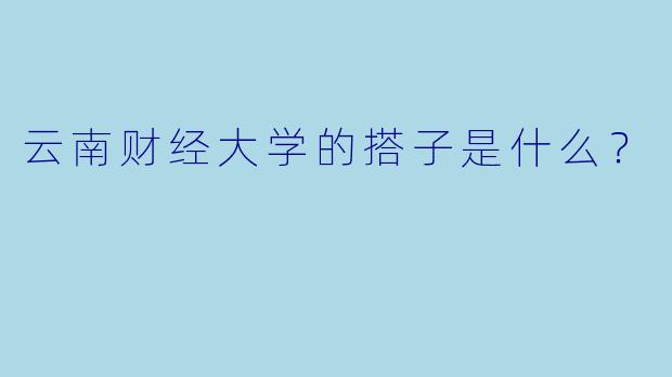 云南财经大学的搭子是什么？
