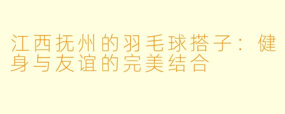 江西抚州的羽毛球搭子：健身与友谊的完美结合