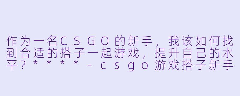 作为一名CSGO的新手,我该如何找到合适的搭子一起游戏,提升自己的水平?****