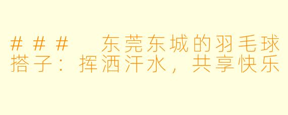 ### 东莞东城的羽毛球搭子：挥洒汗水，共享快乐