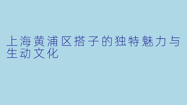 上海黄浦区搭子的独特魅力与生动文化