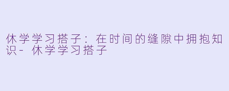 休学学习搭子：在时间的缝隙中拥抱知识-休学学习搭子