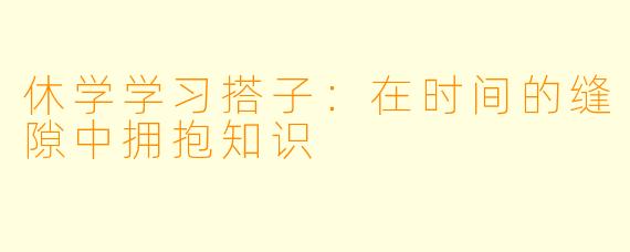 休学学习搭子：在时间的缝隙中拥抱知识