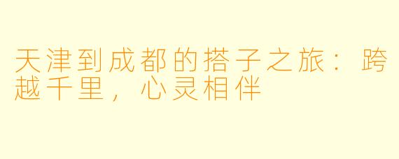 天津到成都的搭子之旅：跨越千里，心灵相伴
