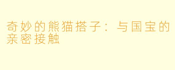 奇妙的熊猫搭子:与国宝的亲密接触