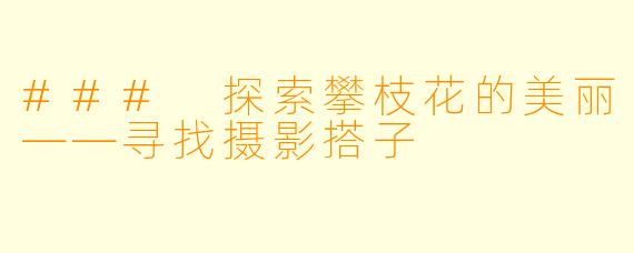 ### 探索攀枝花的美丽——寻找摄影搭子