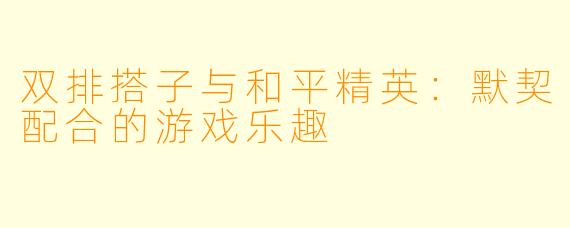 双排搭子与和平精英：默契配合的游戏乐趣
