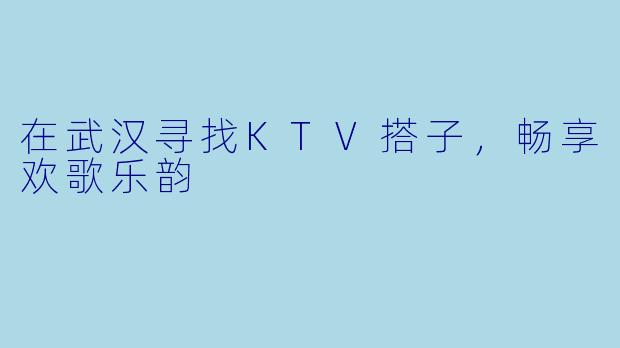 在武汉寻找KTV搭子，畅享欢歌乐韵