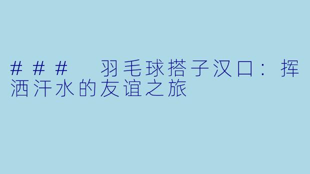 ### 羽毛球搭子汉口：挥洒汗水的友谊之旅