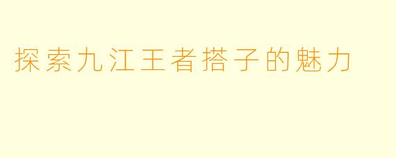 探索九江王者搭子的魅力