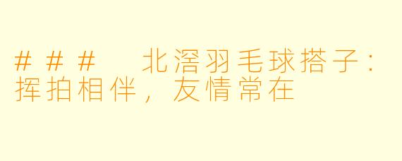 ### 北滘羽毛球搭子：挥拍相伴，友情常在