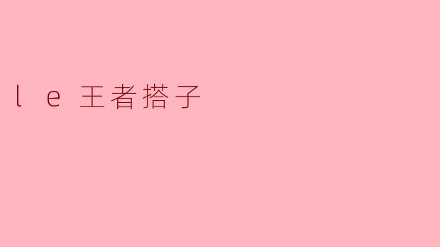 探寻“le王者搭子”的魅力与影响