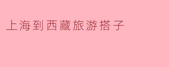 上海到西藏旅游搭子