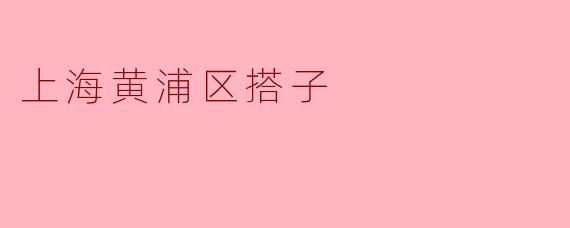 上海黄浦区搭子