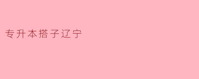 专升本搭子辽宁