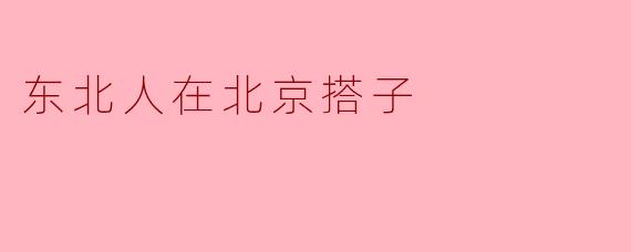 东北人在北京搭子