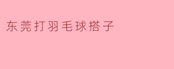 东莞打羽毛球搭子