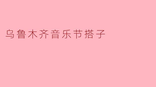 乌鲁木齐音乐节搭子