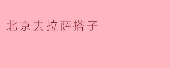 搭子之旅:从北京到拉萨的心灵之旅