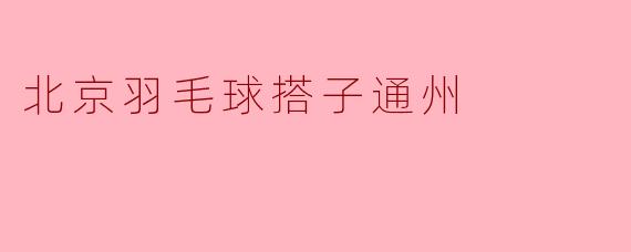 北京羽毛球搭子通州