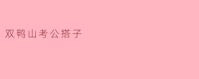 双鸭山考公搭子有什么适合的备考资源和方法?