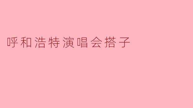 呼和浩特演唱会搭子