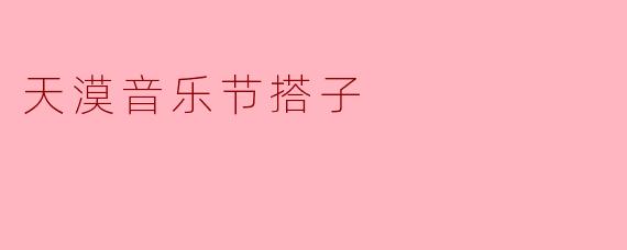 天漠音乐节搭子