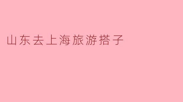 山东去上海旅游搭子