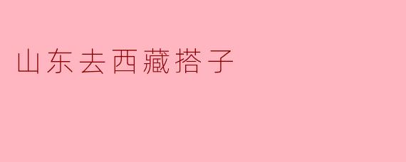 山东去西藏搭子