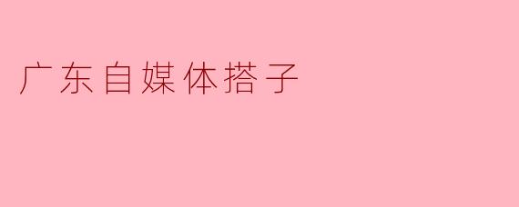 广东自媒体搭子