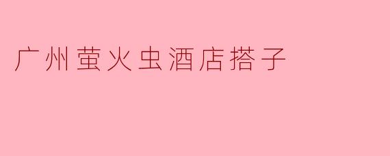 广州萤火虫酒店搭子