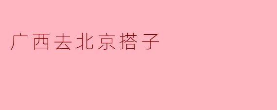 广西去北京搭子